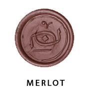 شرابی مرلو - Merlot