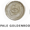 pale-goldendro