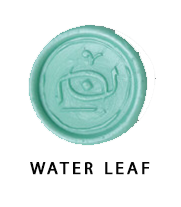 آبی روشن (واتر لیف) - Water Leaf